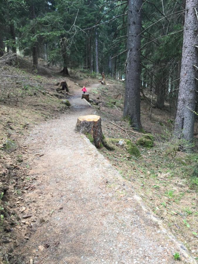 Appartamento Casa del Roccolo Folgarida Esterno foto