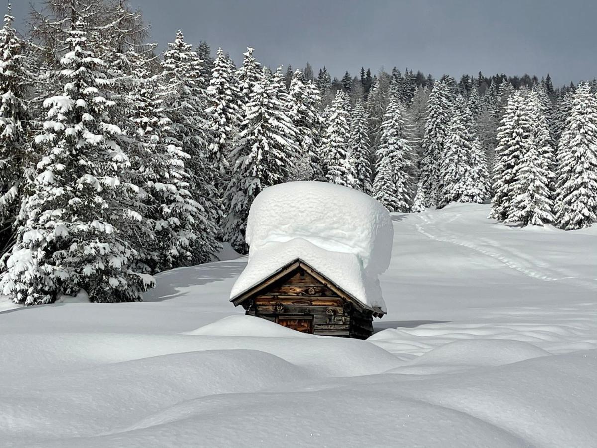 Appartamento Casa del Roccolo Folgarida Esterno foto