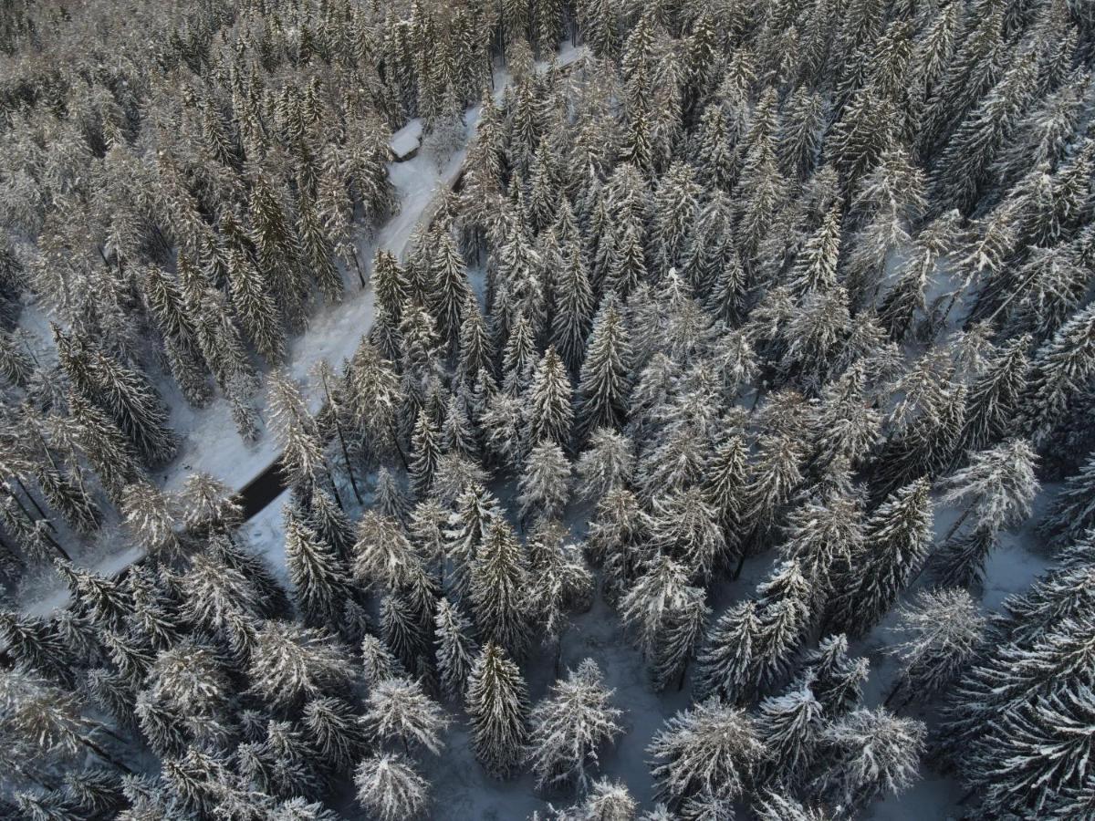 Appartamento Casa del Roccolo Folgarida Esterno foto